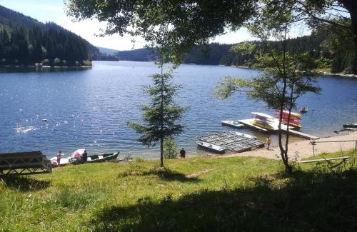 Risca Ski Chalet | Relax at Casuta dintre brazi - Pet & Child Friendly Retreat