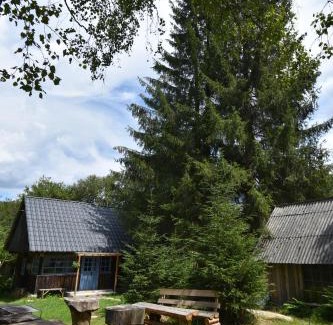 Risca Ski Chalet | Relax at Casuta dintre brazi - Pet & Child Friendly Retreat