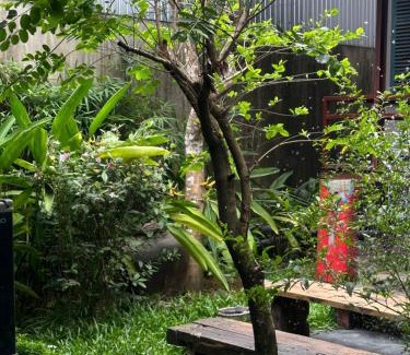 Thuy Xuan Apartment | Pet-Friendly Cat Homestay with Breakfast & 9.3/10 Rating