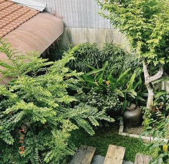 Thuy Xuan Apartment | Pet-Friendly Cat Homestay with Breakfast & 9.3/10 Rating