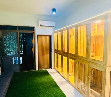 Hat Yai Apartment | cat hotel hatyai cat only
