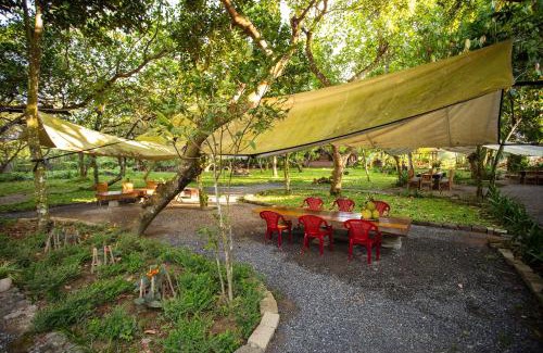 Nam Cat Tien Hotel | Family-Friendly Cat Tien Farm Stay with Delicious Dining