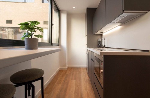 Adelfas Apartment | Catalina 07 apartment in Madrid