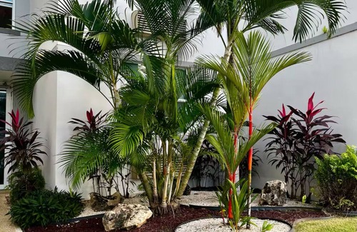 Rincon Condo | Unwind by the Ocean: Rated 10/10 with Spa & Pool Access