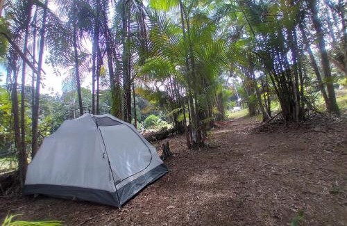 Presidente Figueiredo Other | Pet-Friendly CATEDRAL THE ROCK CAMPING with 9/10 Rating