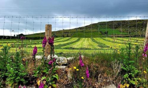 Newry House | Pet-Friendly Cathleen's Cottage with High Guest Ratings