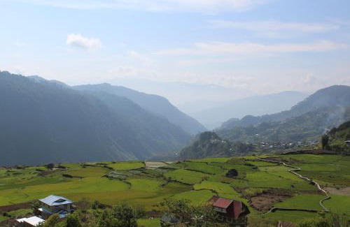 Sagada House | Catlin's Cabin and Cafe