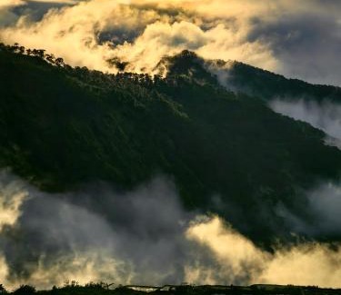 Sagada House | Catlin's Cabin and Cafe