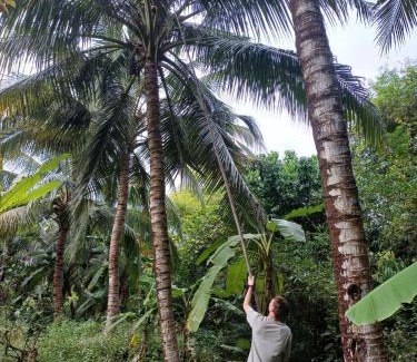 Cau Ke House | Cauke Homestay