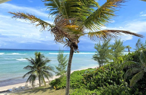 North Side Condo | Beachfront Bliss at Cayman Breeze - Guest Rated 9.8