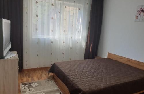 Nehoiu Apartment | Cazare apartament cu 2 camere
