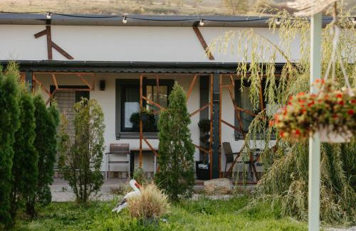 Seica Mare House | Budget-Friendly Stay at Cazare D&G with Hot Tub & Breakfast