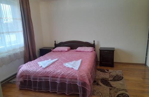 Hateg House | Family-Friendly Retreat at Cazare Slivuț Prislop