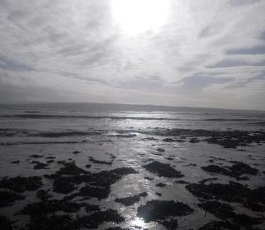 Doolin Apartment | Cozy Ceaser's Cabin: Pet-Friendly Retreat with 9.3 Rating