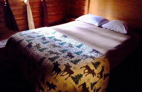 Ashford Apartment | Family-Friendly Cedar at Rainier Lodge Near Mt. Rainier