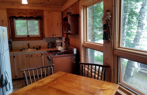 Cook Cabin | Pet-Friendly Cedar Cabin at Vintage Vermilion Resort