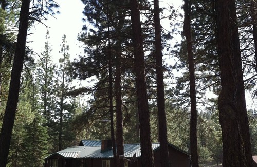 Dairy Cabin | Cozy Cedar Cabin Surrounded by Nature's Beauty