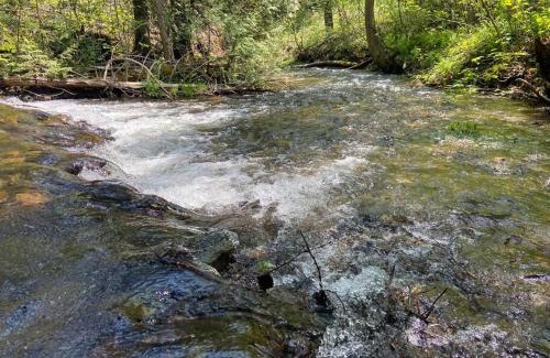 East Randolph House | Secluded Cedar Creek: A Pet-Friendly Walk to the Beach