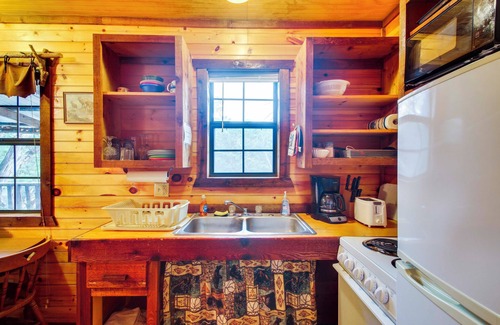 Davis Apartment | ‘Cedar Falls Cabins #6’: Hillside w/Views!