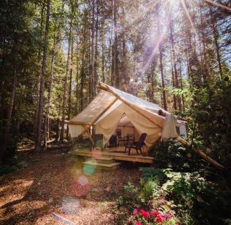 Clearwater Resort | Cozy Cedar Haven Cabins: Family-Friendly Retreat with Hot Tub