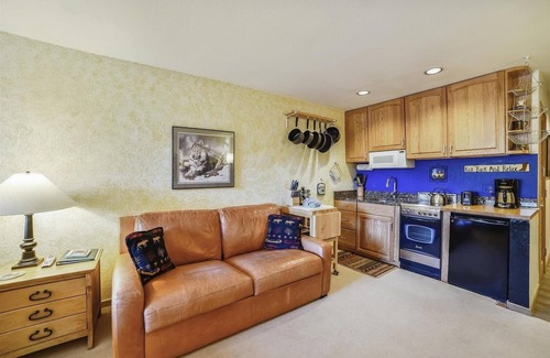 Frisco Condo | Inviting Cedar Lodge 309 Studio with Spa & Family Amenities