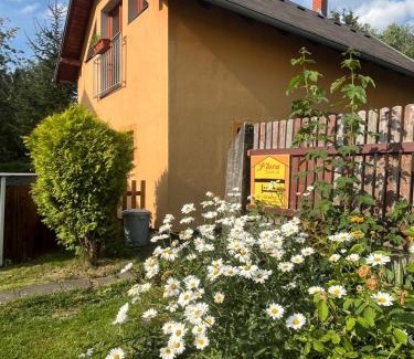 Janov Apartment | Discover FLORA House: Pet-Friendly Retreat in Českosaské Švýcarsko