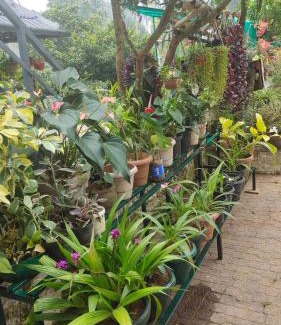 Thariyode Villa | Celestial Homestay: Guest Rated 9.3 with Family-Friendly Perks