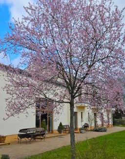 Prieros Hotel | Pet-Friendly Cellino Hotel Prieros with Ocean Views