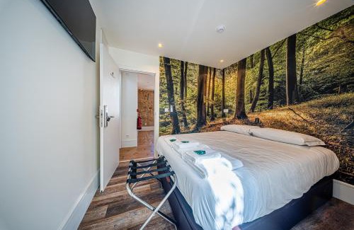 Viseu Apartment | Celtic Lodge - Guest House