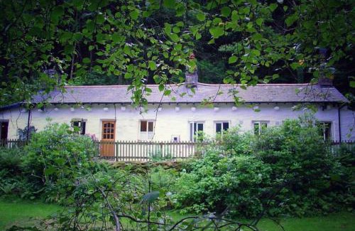Nant Gwynant House | Pet-Friendly Celyn Cottage in Scenic Snowdonia – 10/10 Rated