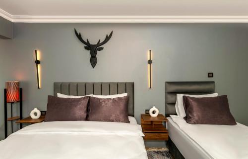 Kabatas Hotel | Cenova Suite Hotel