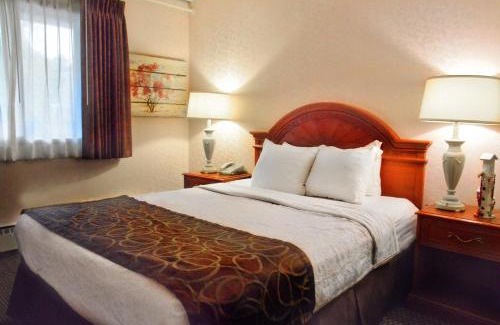 Historic Southwest Hotel | Pet-Friendly Centerstone Plaza Hotel Near Mayo Clinic