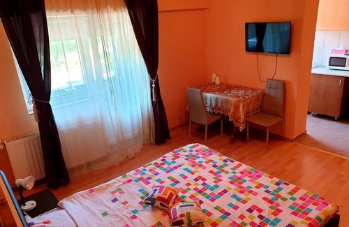 Baile Felix Apartment | Convenient Central Accommodation in Baile Felix with Hot Tub