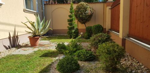 Gyula Apartment | Pet-Friendly Central-Aqua Apartman with Kitchen & High Ratings