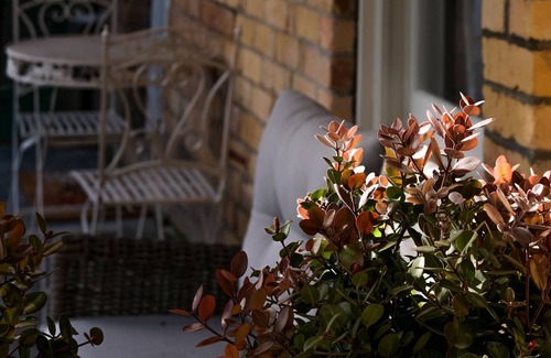 Devonport Apartment | Central Devonport, French country meets heritage in this garden view apartment.