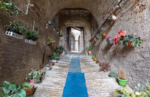 Siena Historical Center Apartment | Pet-Friendly Central Studio Apartment - Guest Rated 10/10