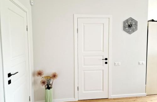 Siauliai City Center Apartment | Top-Rated Central Stay Apartments with Wheelchair Access