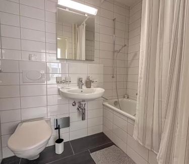 Basel Apartment | Central Studio Apartment with free BaselCard - Dali