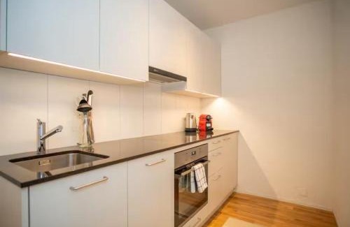 Basel Apartment | Central Studio Apartment with free BaselCard - Magritte