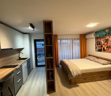 Drobeta-Turnu Severin Apartment | Convenient Central Suites for Family-Friendly Getaways