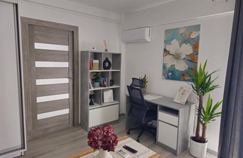 Tirgu Mures Apartment | Central Urban Studio with Underground Parking