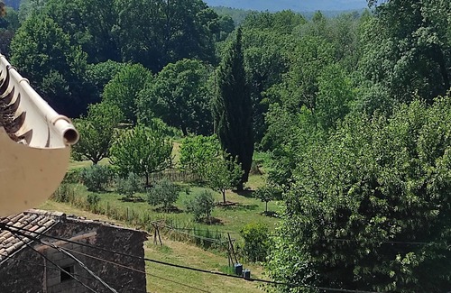 Carces Apartment | Bright and Cozy 2-Room Apartment in Centre Village Provence