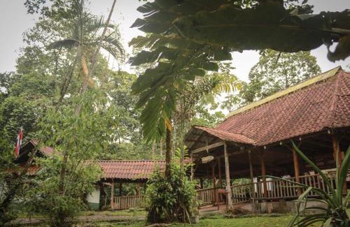 Jimenez Hotel | Pet-Friendly Centro Manú: Pool, Restaurant & Breakfast Await