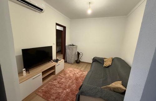 Tondela Apartment | Cepas do Salgueiral - Guest House - Apartamento Centro de Tondela