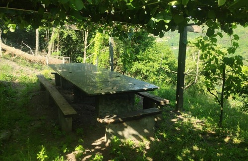 Creciente House | Explore Cereixinha House: Pet-Friendly Retreat with Spa