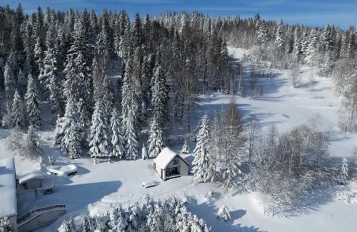 Jelesnia Ski Chalet | Cozy Cerla Korbielów: Top-Rated Oceanfront Retreat