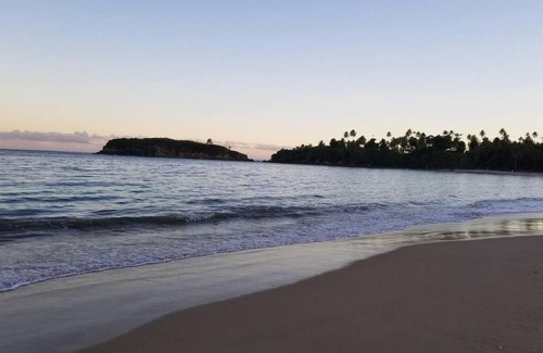 Cerro Gordo Apartment | Beachfront Oasis: Walk to the Ocean & Pet Friendly Stay