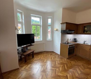 Semmering Apartment | Top-Rated Cervo d'oro Appartement with Family-Friendly Dining
