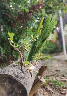 Tres Marias House | Family-Friendly Getaway at Chácara Aconchego - 9.7 Rated