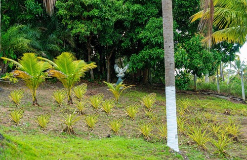 Passo de Camaragibe House | Chácara Shallon Recanto em São Miguel dos Milagres